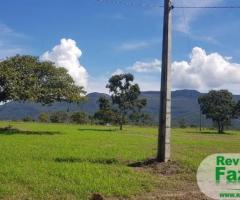 481 Alqueires Paulista Terra De Pecuária Com Possibilidade Para Plantar Lavoura Parte Da Área Aberta