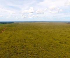 3.305 Alqueires Dupla Aptidão Região Norte De Mato Grosso Formação Em Pasto Que Pode Plantar Lavoura