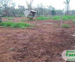 2.420 hectares Culturão Dupla Aptidão Terra Vermelha Argilosa Pecuária De Engorda Ou Agricultura