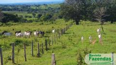 200 Hectares em Mato Grosso Pecuária com ótima Estrutura de Serviço Boa de Terra