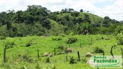173 Hectares Em Mato Grosso Terra De Bacuri Boa De Água Própria Para Pecuária De Engorda