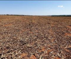 194 Alqueires Com Dupla Aptidão Sendo Uma Fazenda De Pecuária Que Está Em Plantio A Mais De 10 Anos