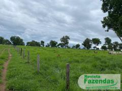 1.100 Hectares Fazenda De Pecuária Localizada Na Região Oeste De Mato Grosso 