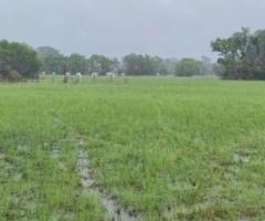 1.230 Alqueires Terra De Pecuária Pra Cria E Recria Fazenda Localizada Na Região Leste De Mato Grosso 