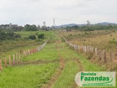 Fazenda De Pecuária Com Dupla Aptidão Área 897 Alqueirão 1.600 Km De Santarém 200 Km Da Cidade 