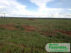 Fazenda 1.000 Hectares Arrendar Para Lavoura De Grãos Soja E Milho Tá Em Pecuária Região Norte Do Mato Grosso 