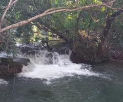 Fazenda 200 Hectares Rica Em Água Boa De Terra Que Tanto Pode Mexer Com Pecuária Quanto Preparar Para Plantio De Roça 