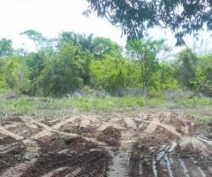 Sítio 41 Alqueires Na Baixada Cuiabana Opção De Mexer Com Gado Ou Plantio De Roça 40 km Da Capital Cuiabá 