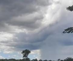Fazenda 2.000 Hectares Cerrado Bruto Fácil De Fazer Região Da Baixada Cuiabana 150 Km De Campo Verde MT 