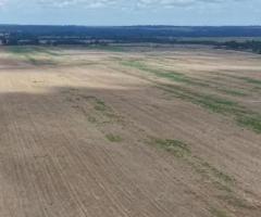 Fazenda 495 Alqueirão Com Plantio De Lavoura Em Soja E Milho Argila 40 Porcento Acima Localizada No Pará 
