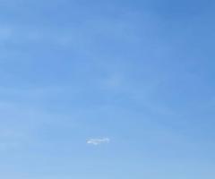 Fazenda 4.100 Alqueires Região Norte De Mato Grosso Dupla Aptidão Atualmente Na Pecuária De Recria E Engorda Podendo Transformar Em Lavoura 