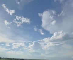 Fazenda Em Pastos Limpos 372 Alqueires Arrendar Para Lavoura De Grãos Localizada Na Região Norte Do Mato Grosso 