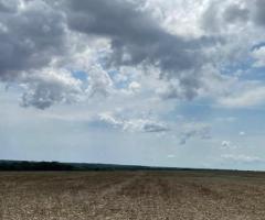 Fazenda 913 Alqueires Toda Plantada Em Lavoura De Soja E Milho Safrinha Região Norte Do Mato Grosso 