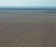 Fazenda Produtiva De Grãos Soja E Milho Área 1.650 Alqueires Com Toda Estrutura Região Nordeste Do Mato Grosso 