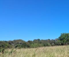 Fazenda 707 Alqueires Própria Para Pecuária De Cria Recria E Engorda Em Região Que Tão Plantando Lavoura 