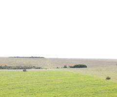 Fazenda Dupla Aptidão A Venda Em Mato Grosso Com Área 368 Alqueires Hoje Tá Na Pecuária De Recria E Engorda 