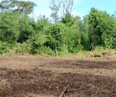 Fazenda A Venda Em Mato Grosso Área 314 Alqueires Pecuária De Recria E Engorda Região Da Baixada Cuiabana 