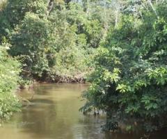 Sítio A Venda Em Mato Grosso Área 34 Alqueires Região Da Baixada Cuiabana Bom De Água Com Rio Na Divisa Aptidão Pra Pecuária 