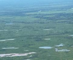 Fazenda Pecuária No Pantanal  Área 3.400 Alqueires Com Pastagens Para 2.500 Cabeças E Toda Estrutura Necessária 