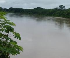 Sítio A Venda Em Mato Grosso Área 9.9 Alqueires Com Pastagens Formadas Terra Boa Pra Roça E Rio Bom Pra Lazer E Pescaria 