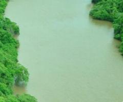 Sítio a Venda 11 Alqueires com Aptidões Pra Pecuária Roça Lazer Com Morada E Pescaria 130 Km Da Capital Cuiabá 